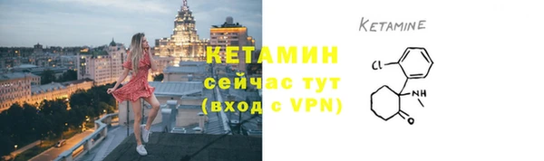 индика Гусев