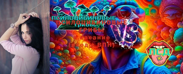 jwh Алзамай